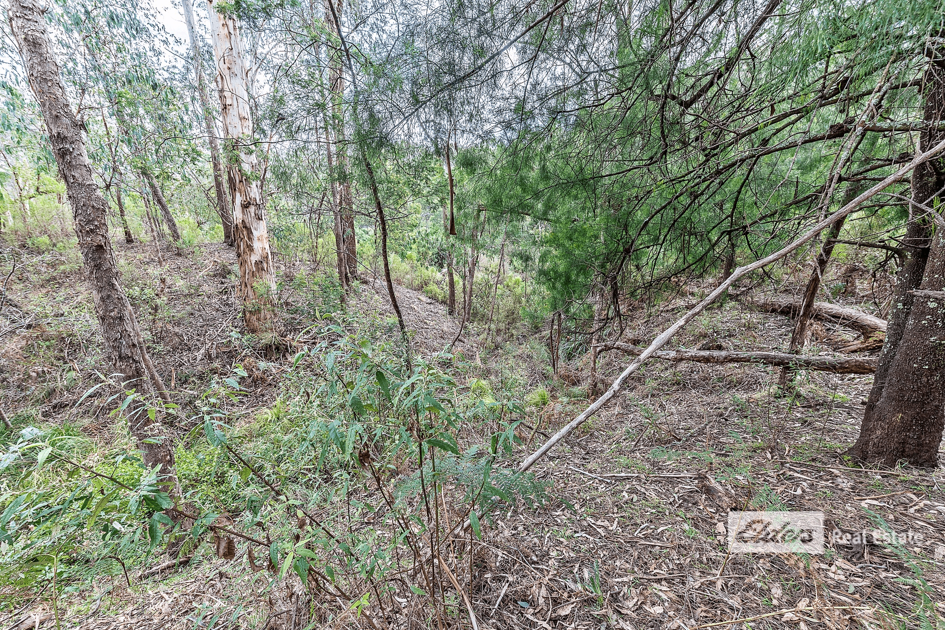 9 Cockatoo Lane, Bruthen, VIC 3885