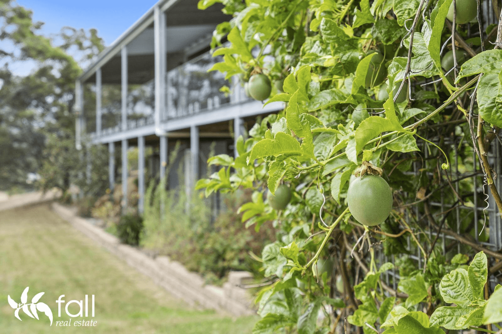 11 Franklin Street, LEWISHAM, TAS 7173