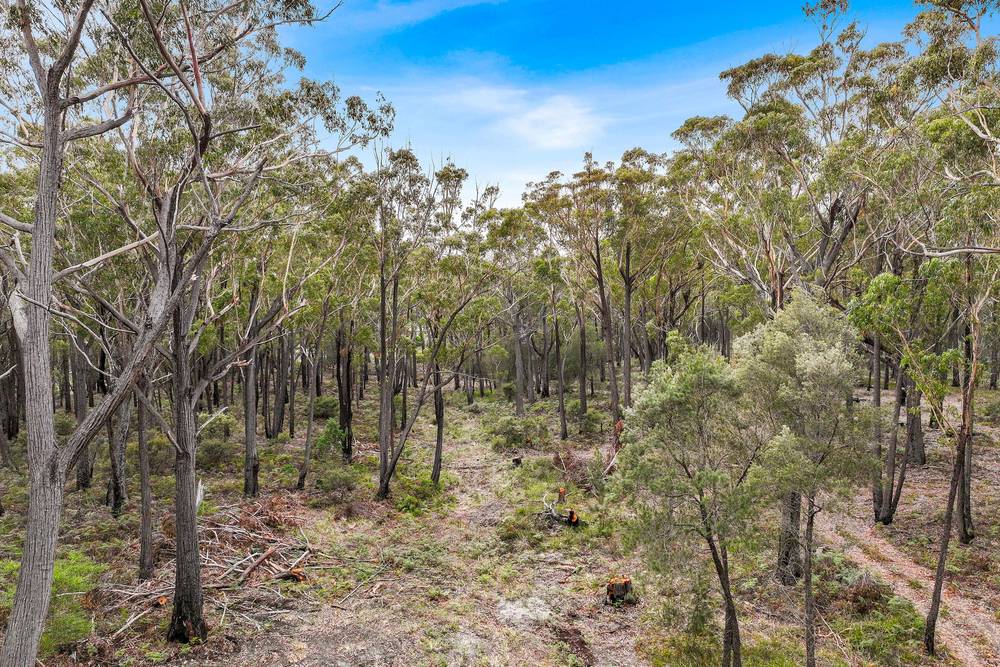 Lot 1 Poseidon Street, St Helens, TAS 7216
