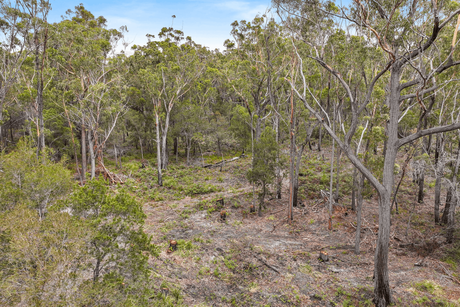 Lot 1 Poseidon Street, St Helens, TAS 7216