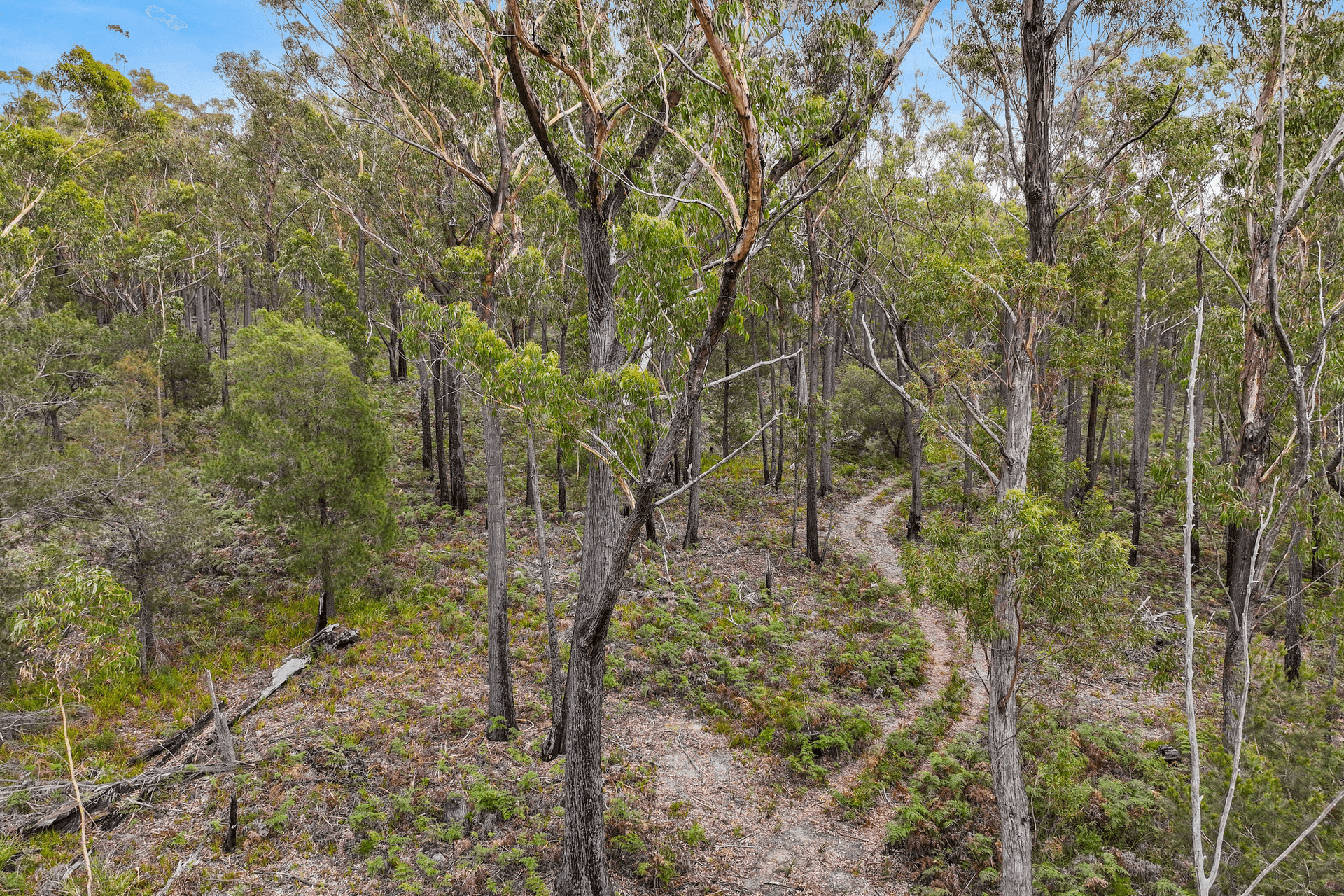 Lot 1 Poseidon Street, St Helens, TAS 7216
