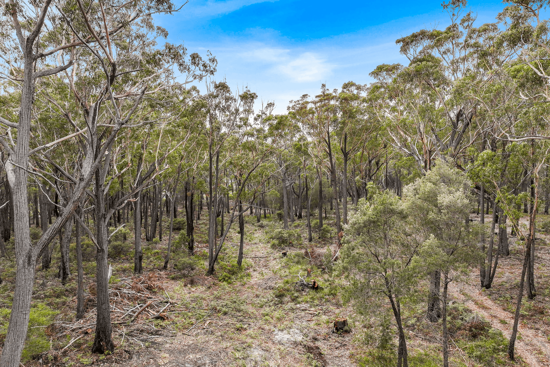 Lot 1 Poseidon Street, St Helens, TAS 7216
