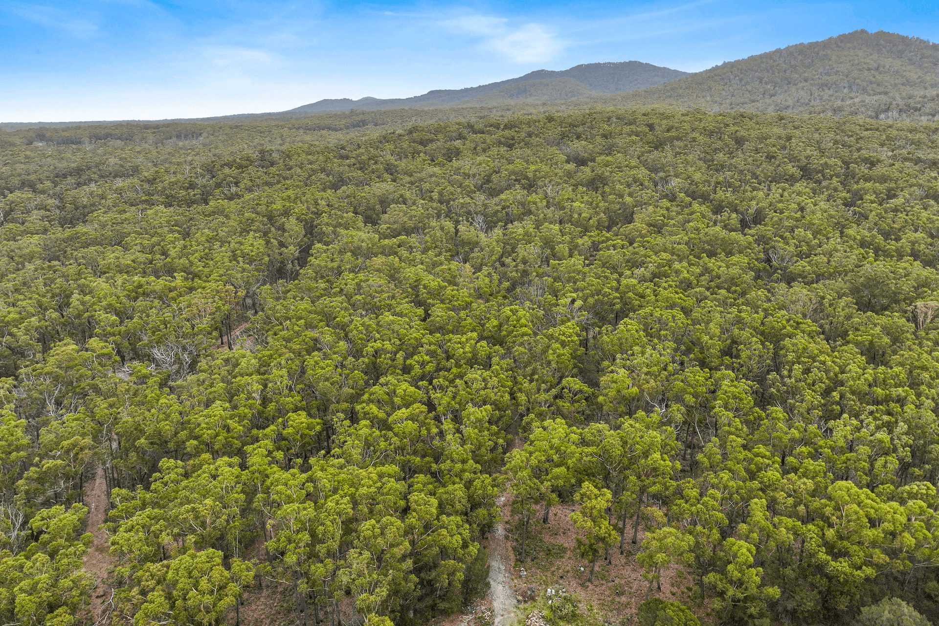 Lot 1 Poseidon Street, St Helens, TAS 7216
