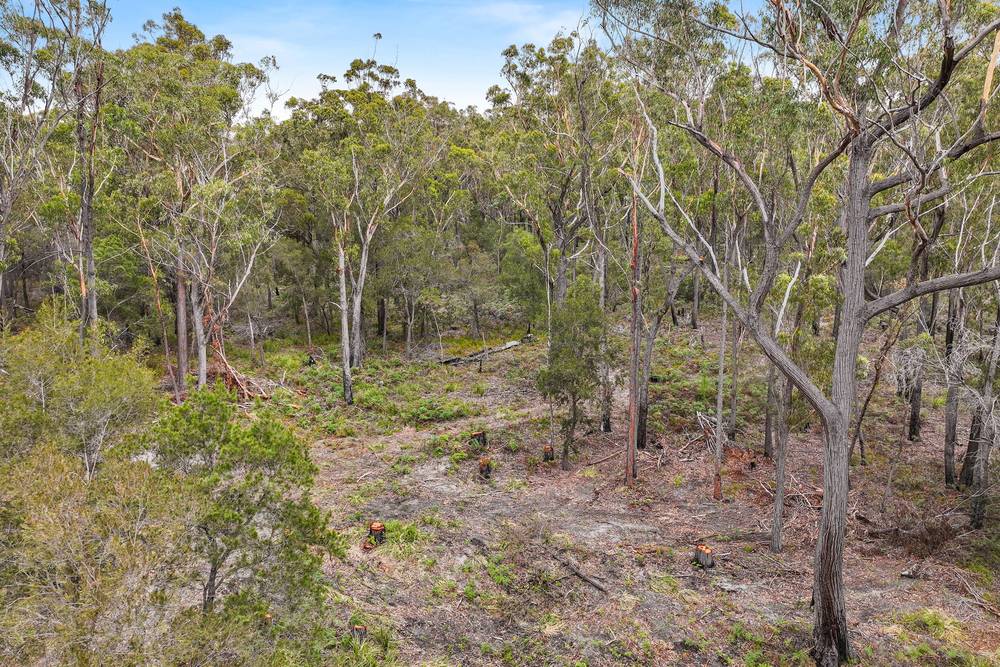 Lot 1 Poseidon Street, St Helens, TAS 7216