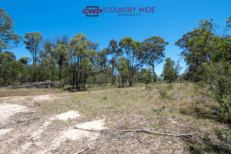 Lot 33 Torrington Road, STANNUM, NSW 2371