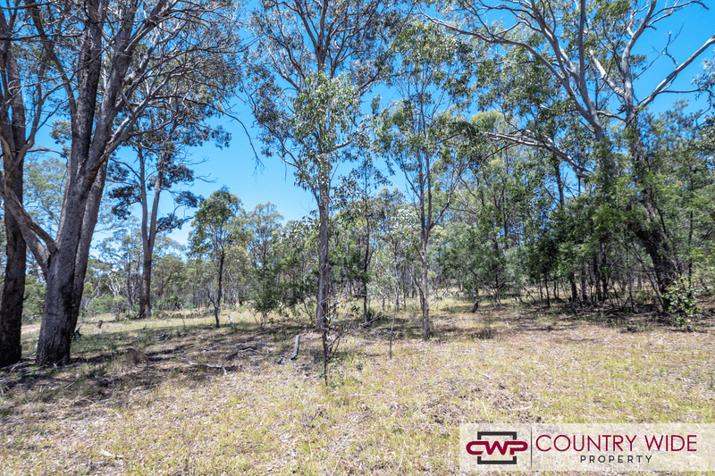 Lot 33 Torrington Road, STANNUM, NSW 2371