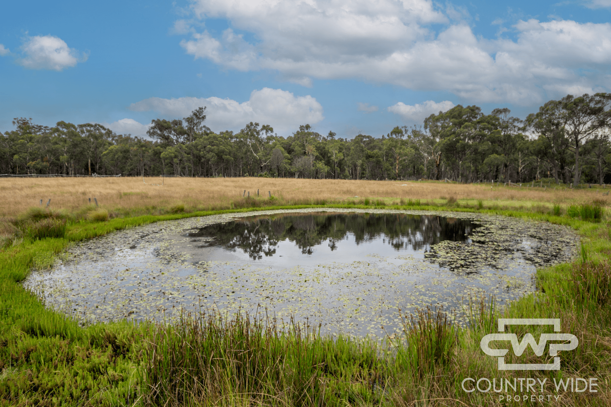 1574 Torrington Road, STANNUM, NSW 2371