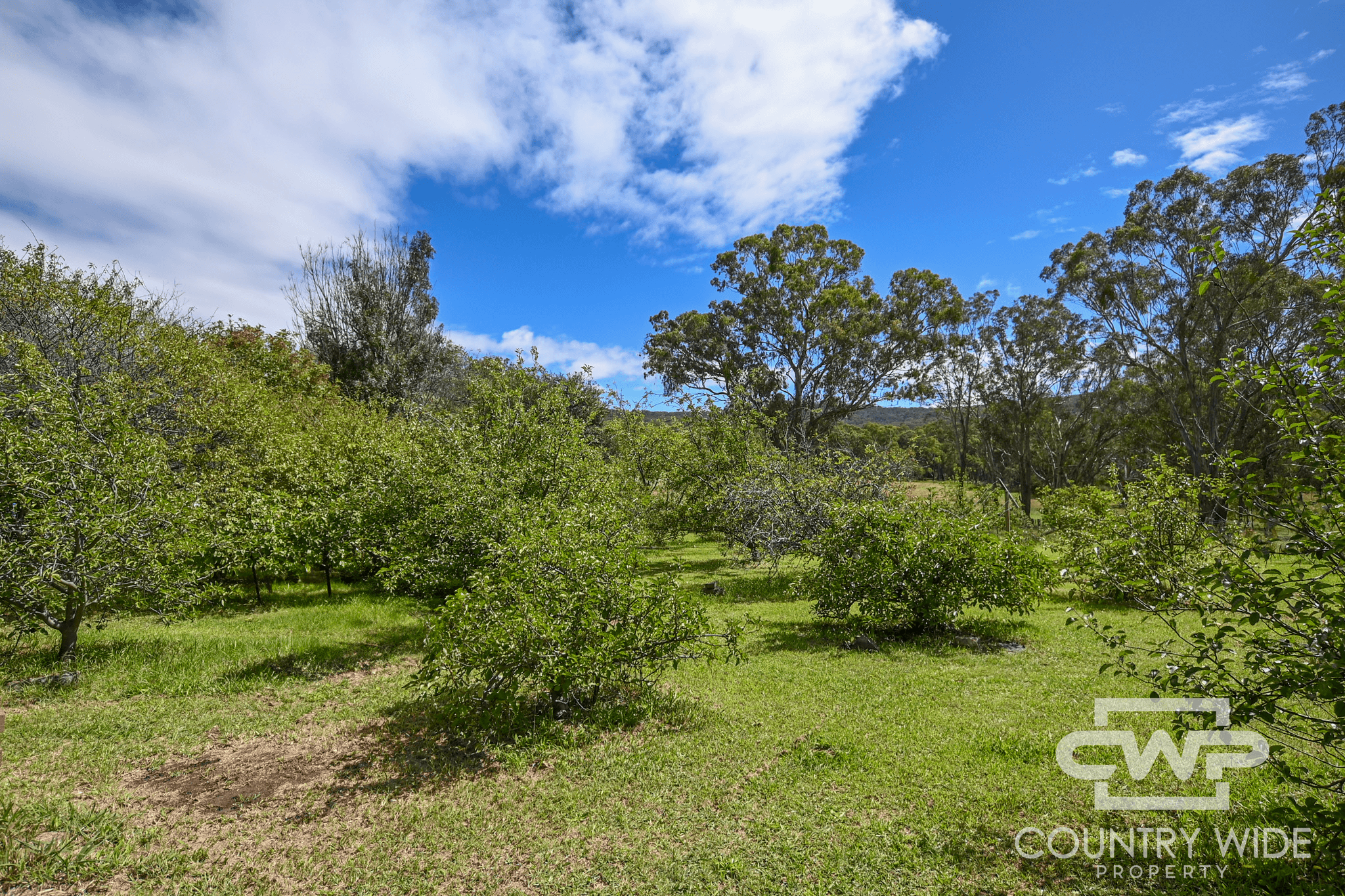 1574 Torrington Road, STANNUM, NSW 2371