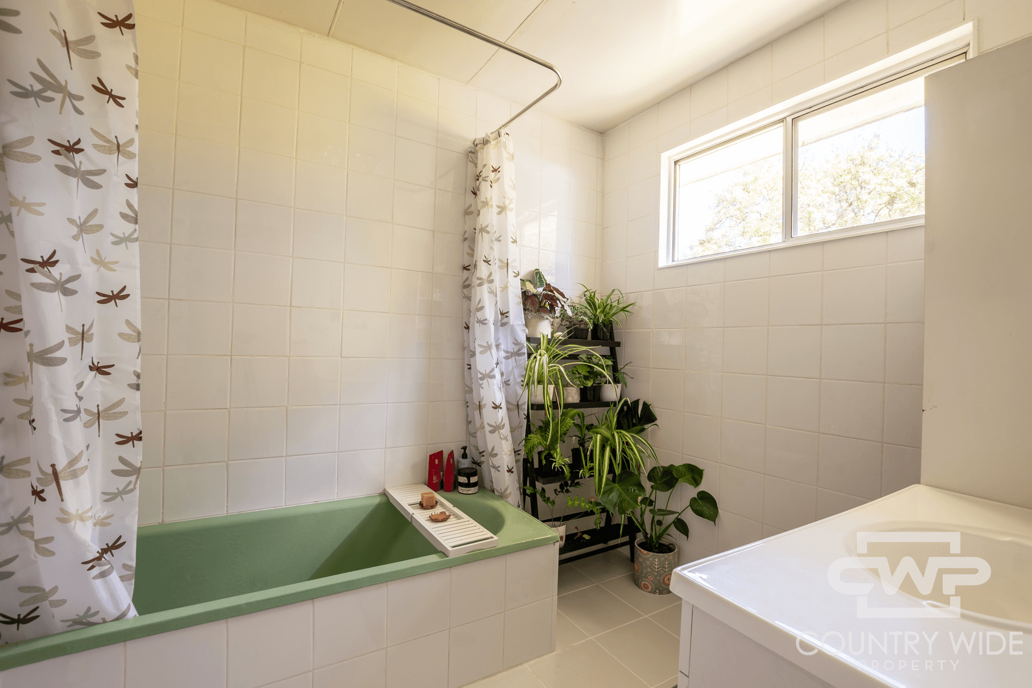 1574 Torrington Road, STANNUM, NSW 2371