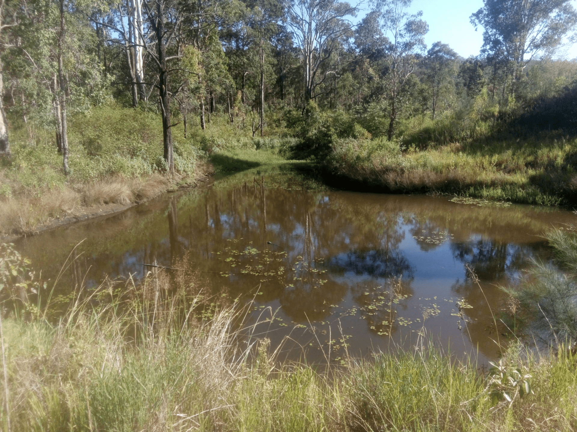 1534 AB Paddy's Flat Road, Tabulam, NSW 2469