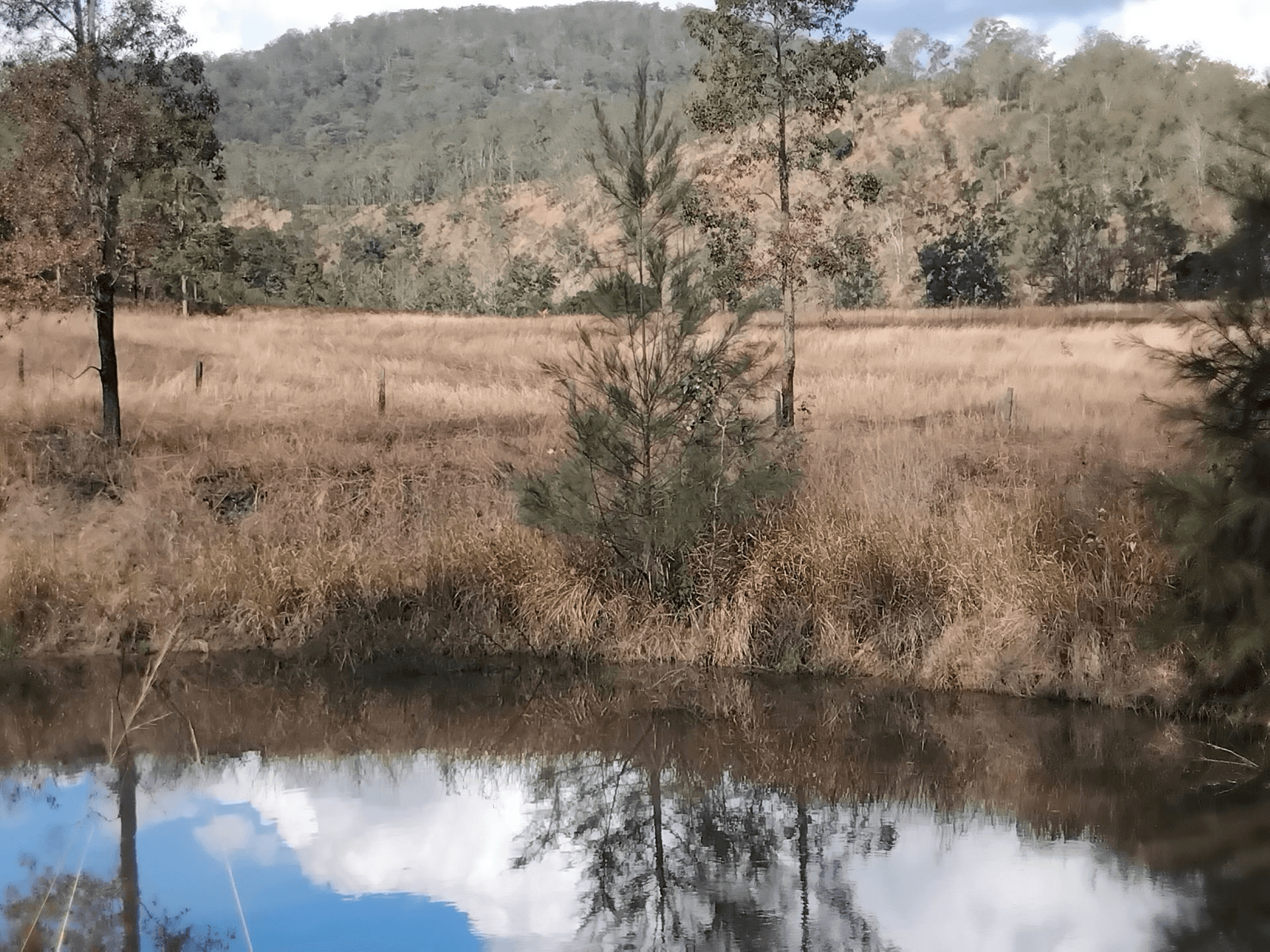 1534 AB Paddy's Flat Road, Tabulam, NSW 2469