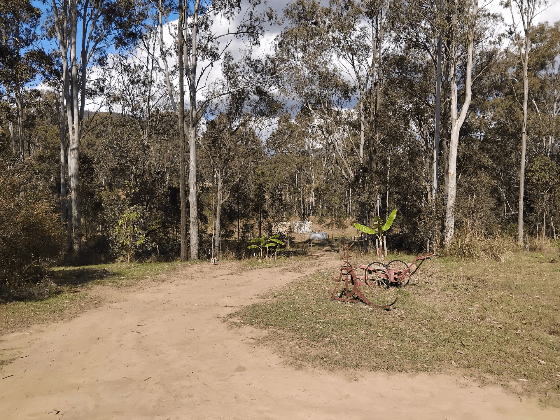 1534 AB Paddy's Flat Road, Tabulam, NSW 2469