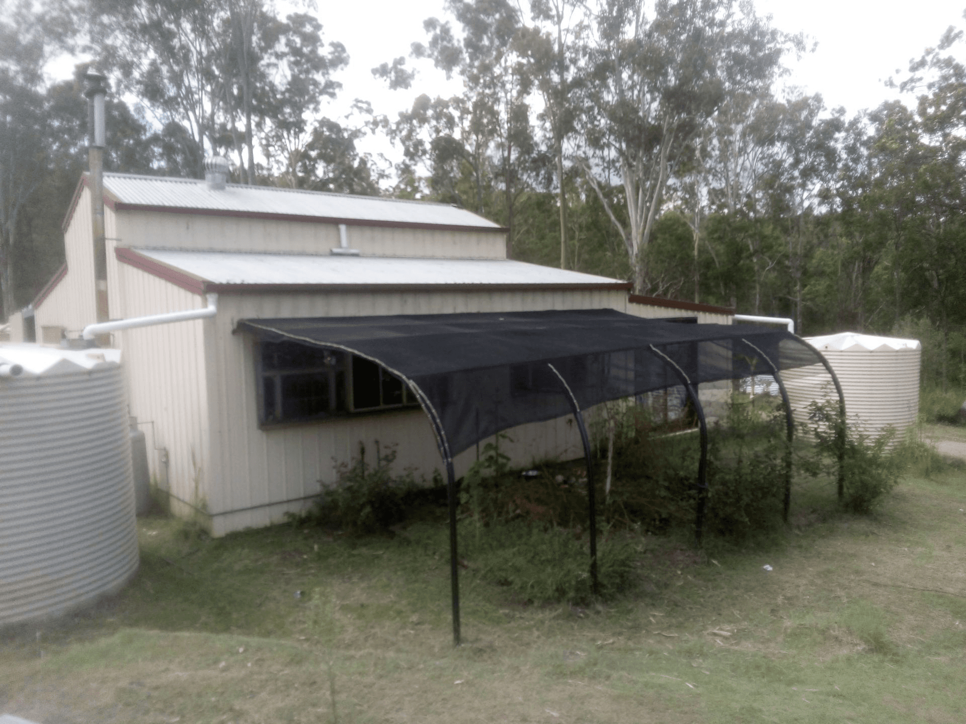 1534 AB Paddy's Flat Road, Tabulam, NSW 2469