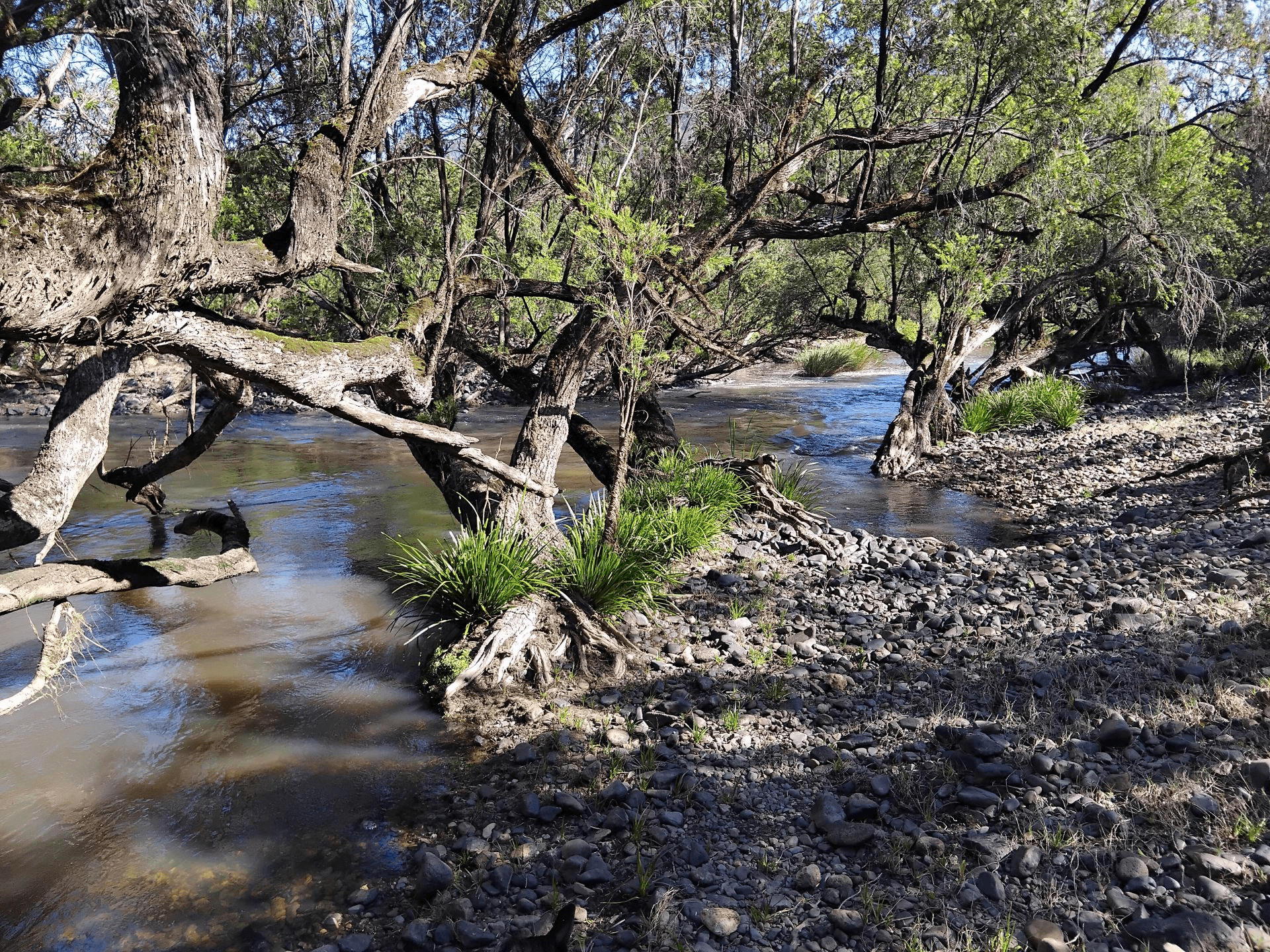 1534 AB Paddy's Flat Road, Tabulam, NSW 2469