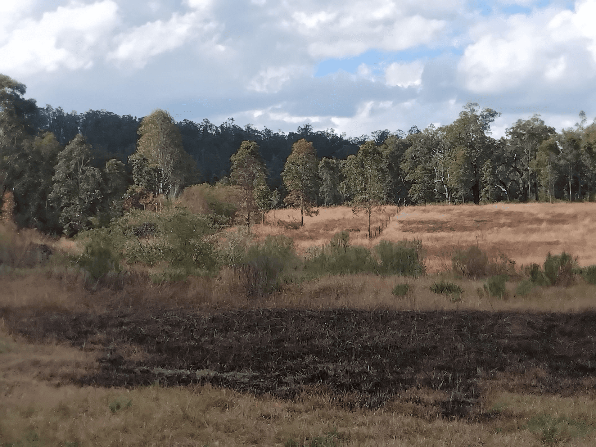 1534 AB Paddy's Flat Road, Tabulam, NSW 2469
