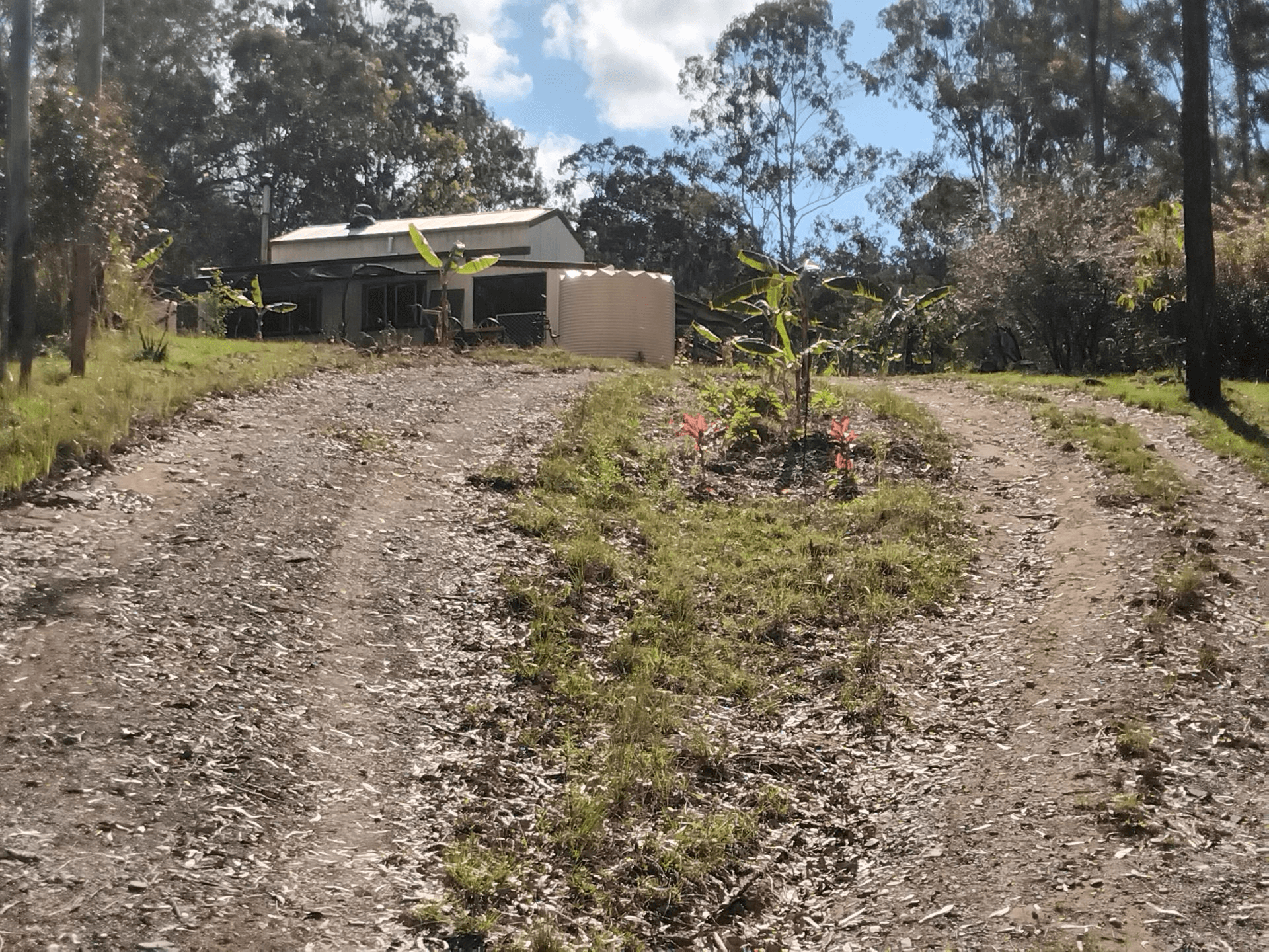 1534 AB Paddy's Flat Road, Tabulam, NSW 2469