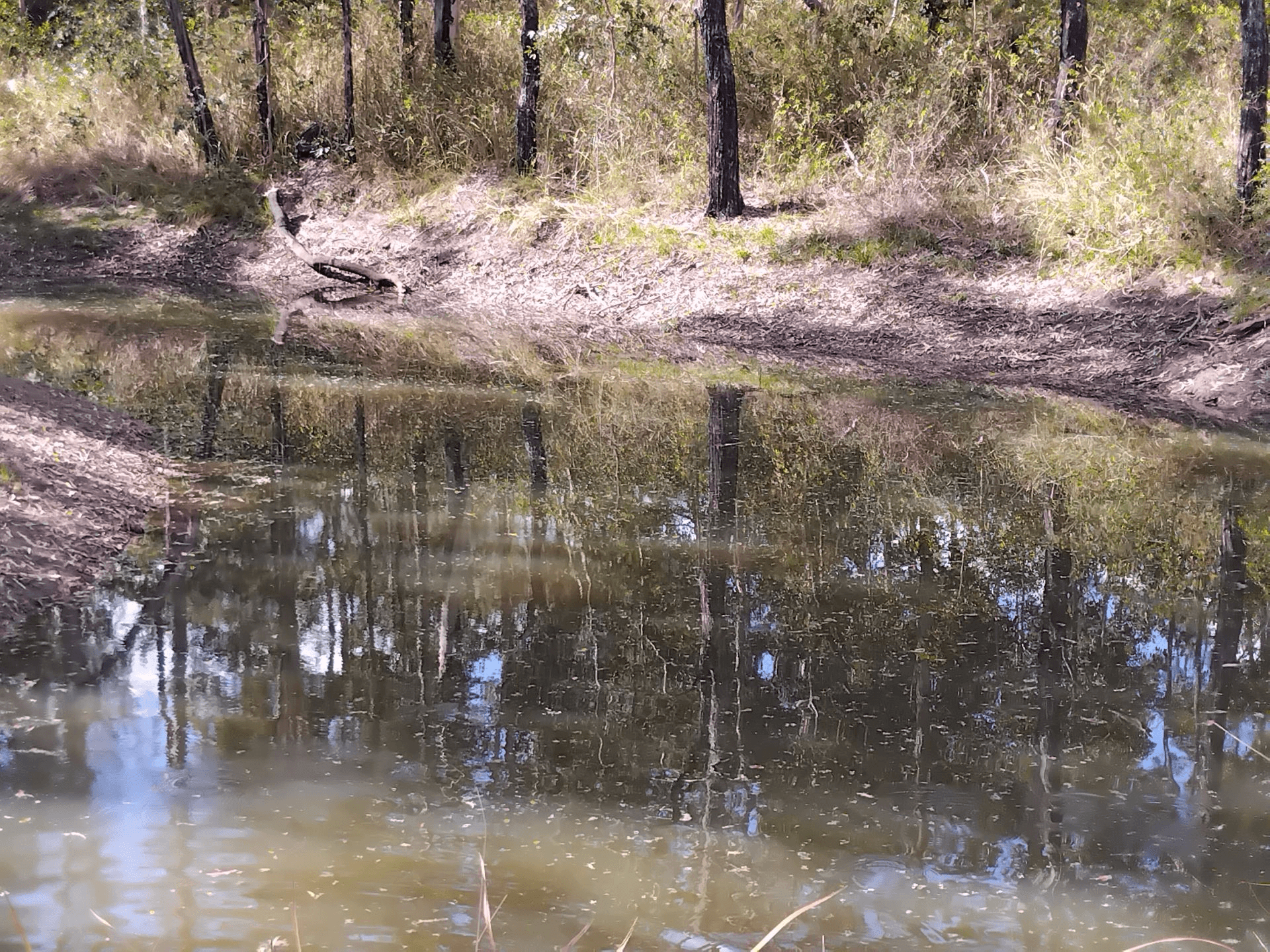 1534 AB Paddy's Flat Road, Tabulam, NSW 2469