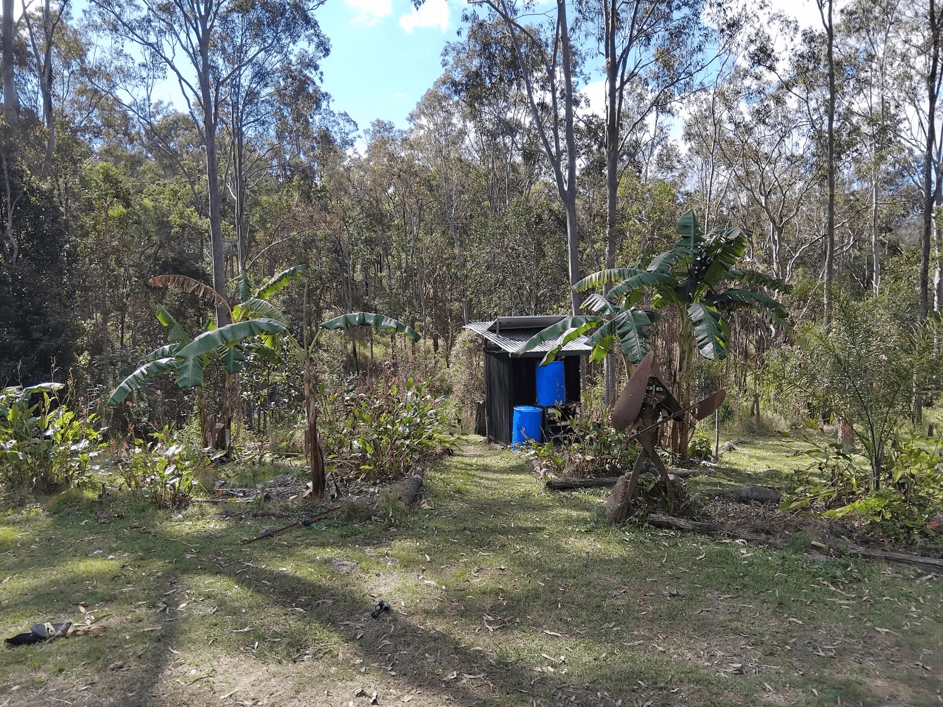 1534 AB Paddy's Flat Road, Tabulam, NSW 2469