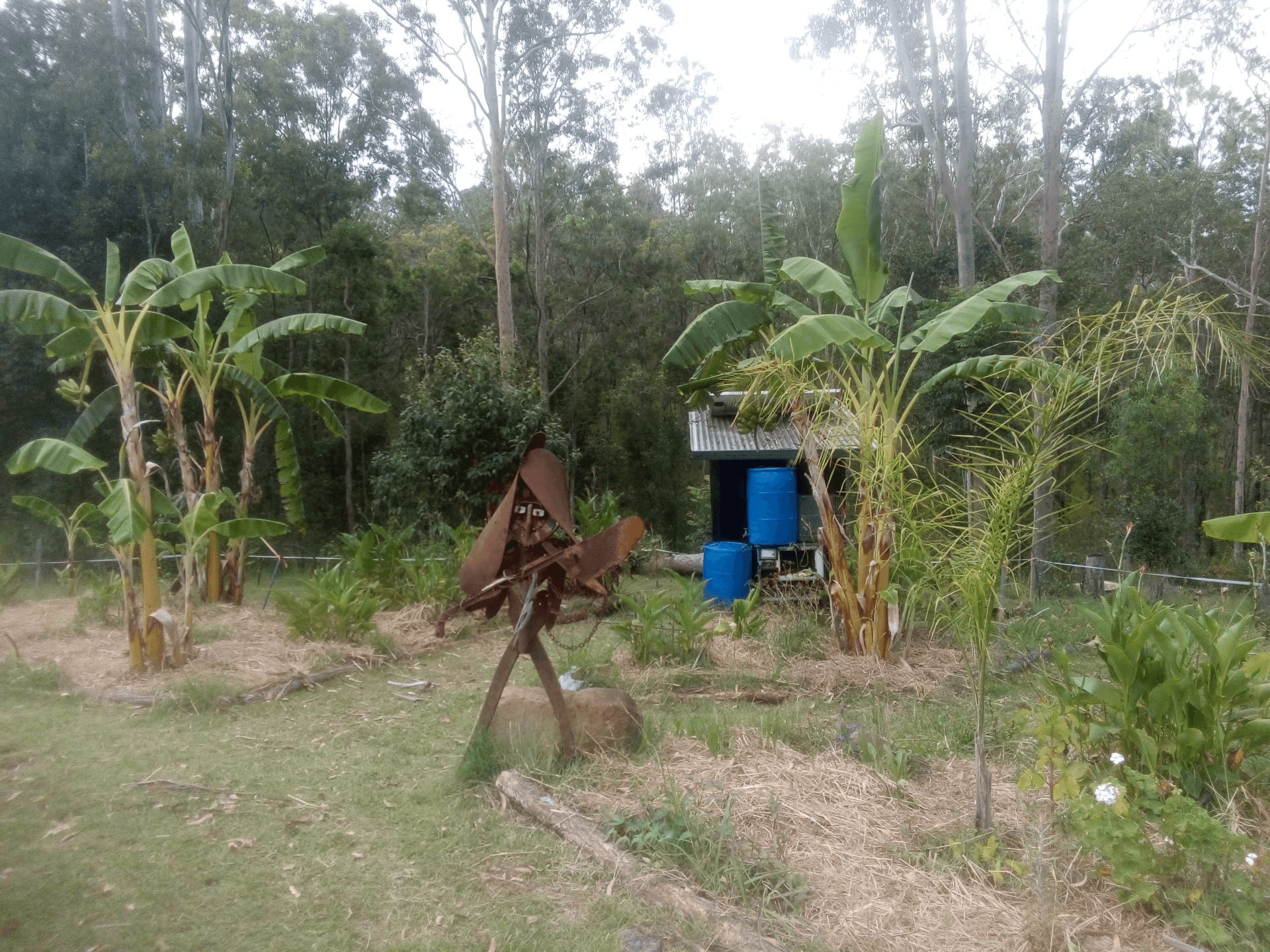 1534 AB Paddy's Flat Road, Tabulam, NSW 2469