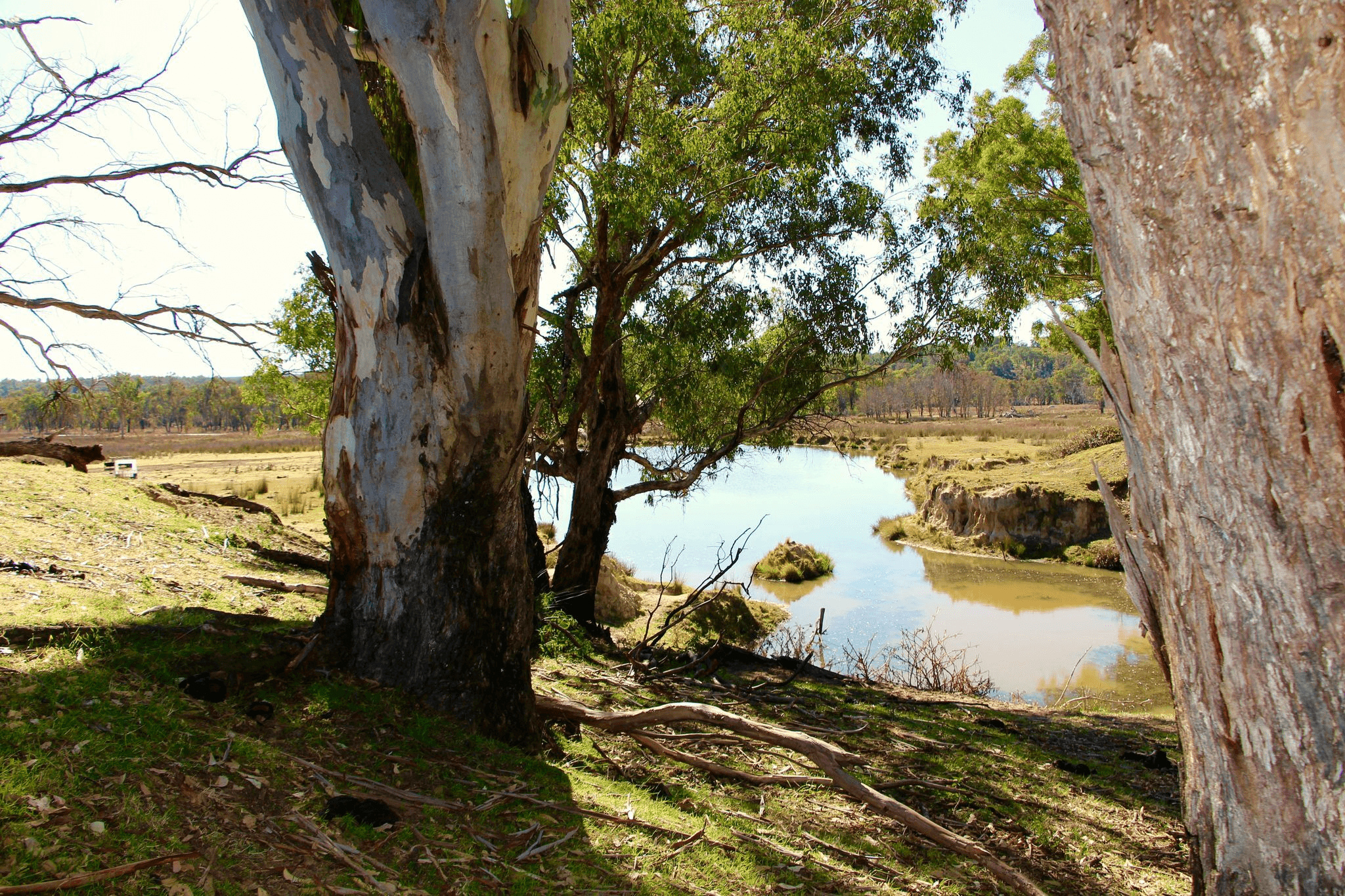 404 New Valley Rd, TINGHA, Inverell, NSW 2360