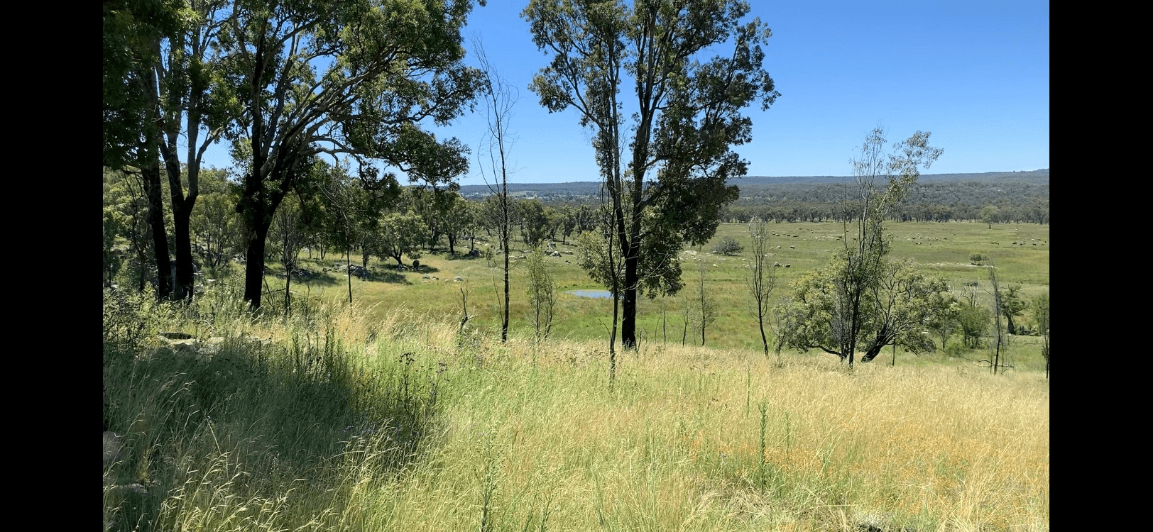 404 New Valley Rd, TINGHA, Inverell, NSW 2360