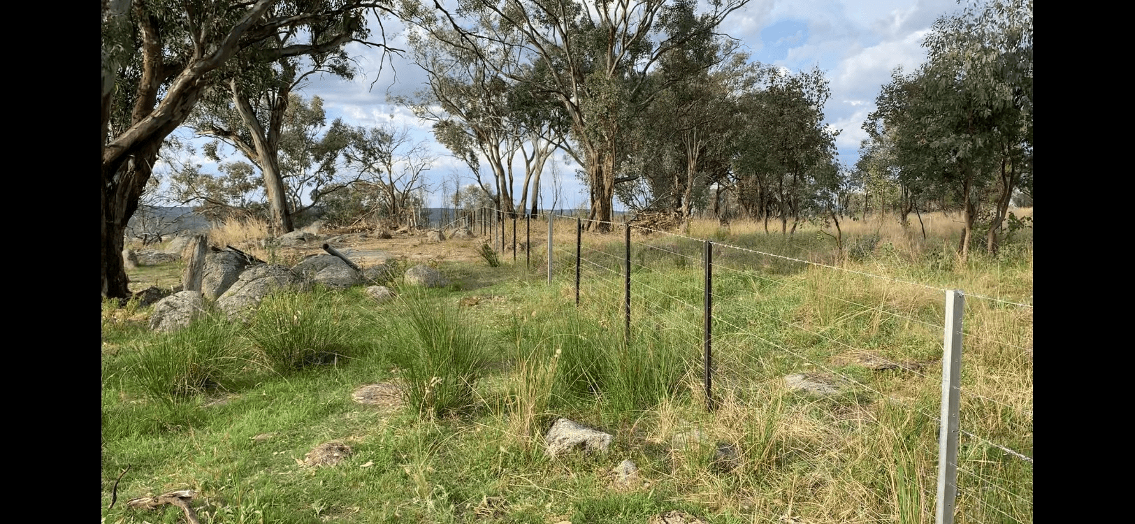 404 New Valley Rd, TINGHA, Inverell, NSW 2360