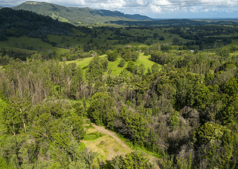 201 Mount Coxcomb Road, UPPER LANSDOWNE, NSW 2430