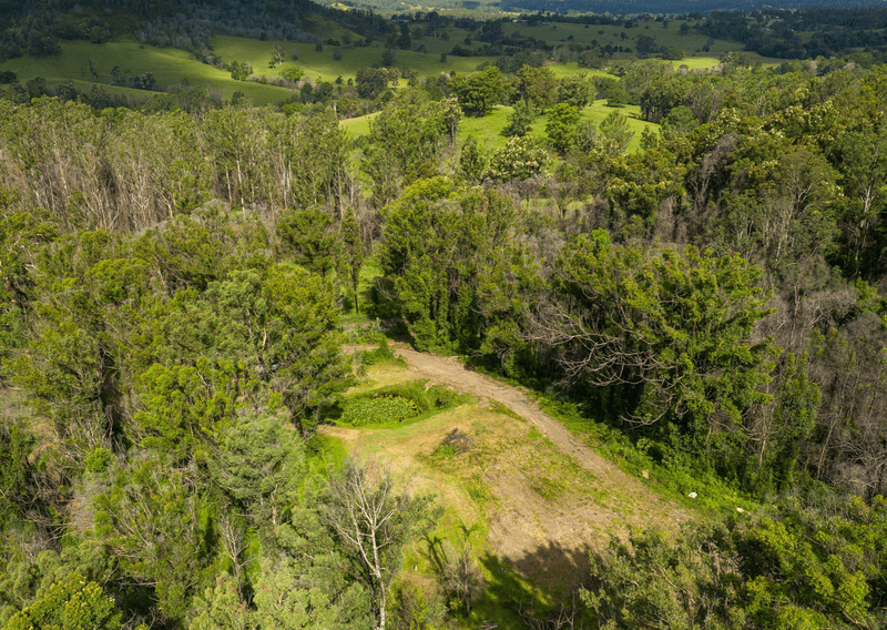 201 Mount Coxcomb Road, UPPER LANSDOWNE, NSW 2430