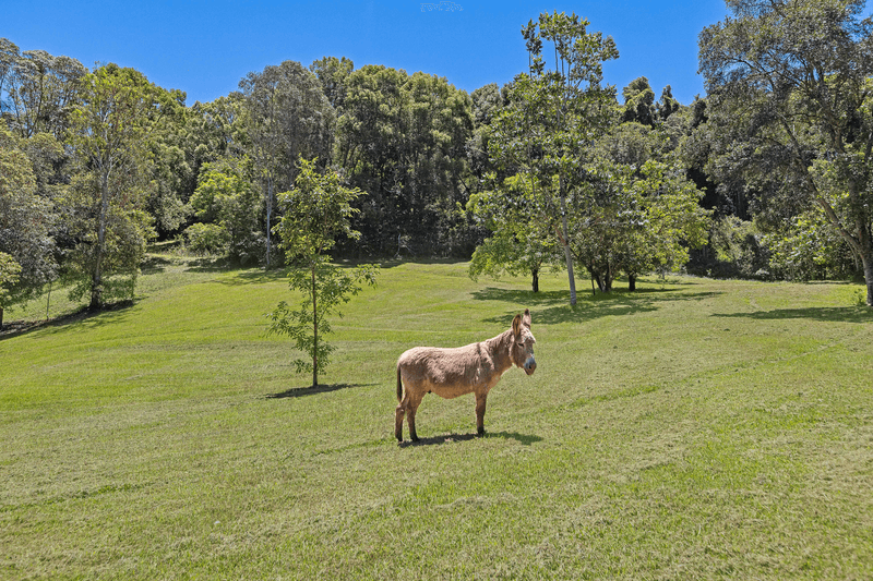 125 Ripps Road, STOKERS SIDING, NSW 2484