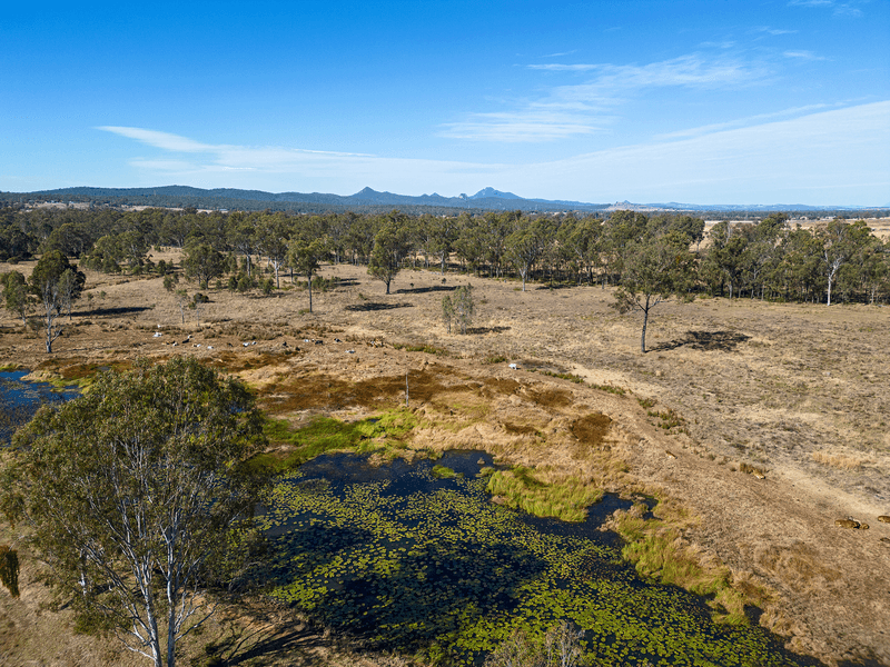 80 Stevens Road, PURGA, QLD 4306