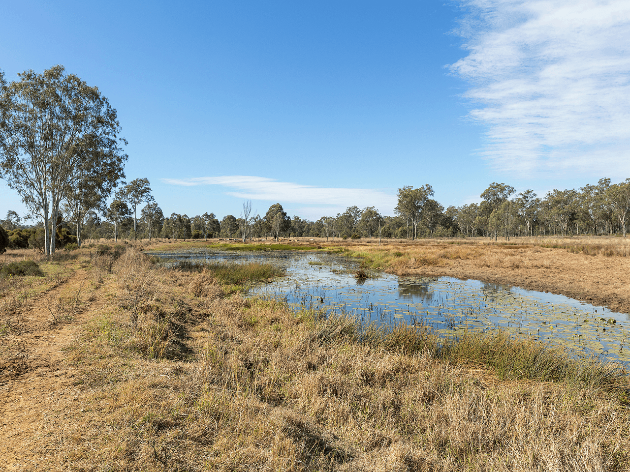 80 Stevens Road, PURGA, QLD 4306