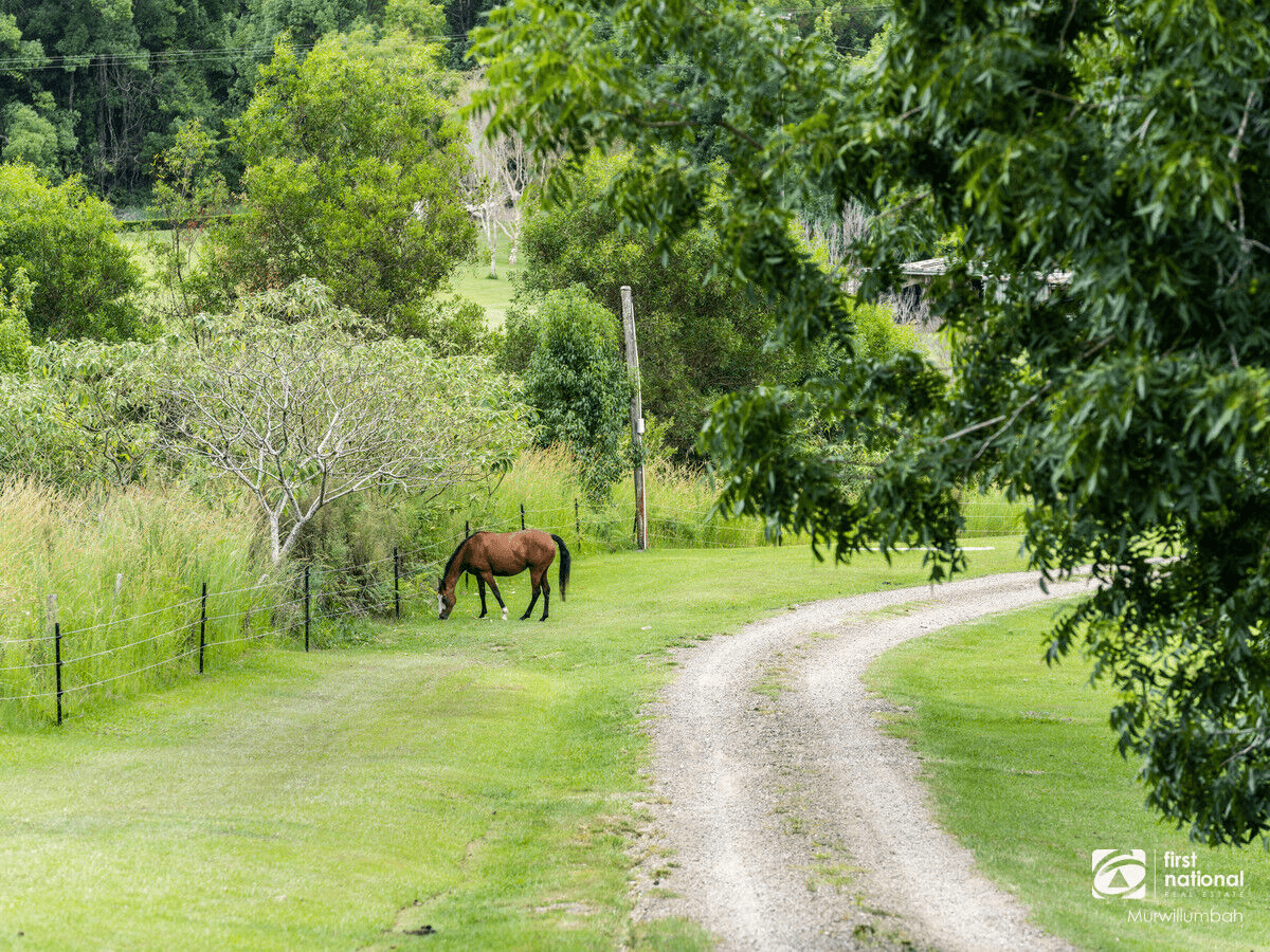 6 Vidler Road, Hopkins Creek, NSW 2484