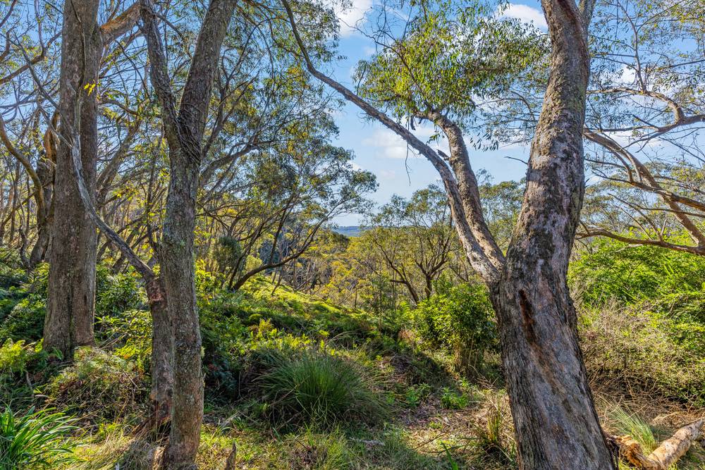 5A Mount Hay Road, Leura, NSW 2780