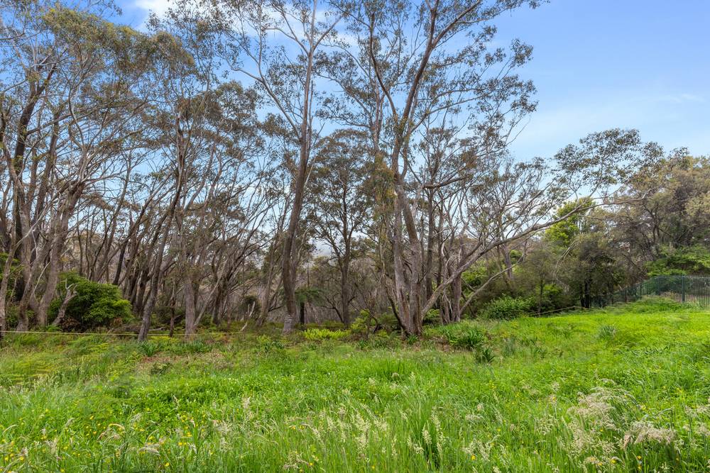 5A Mount Hay Road, Leura, NSW 2780