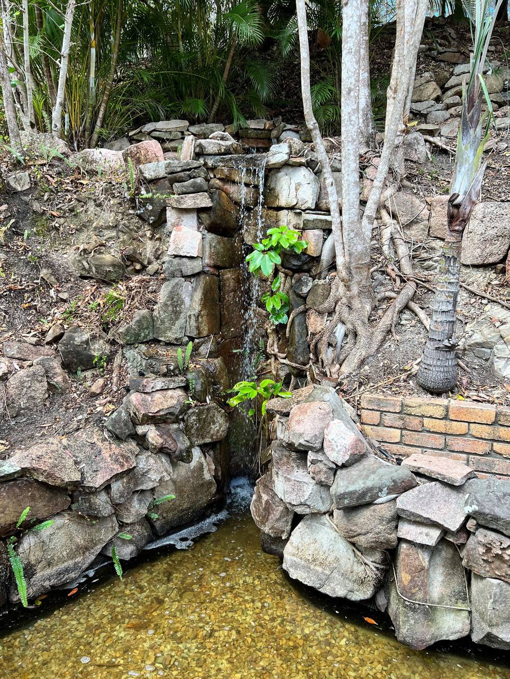 24 UPLANDS DRIVE, PARKWOOD, QLD 4214