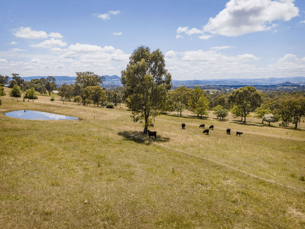 110 Dellven Drive, Table Top, NSW 2640