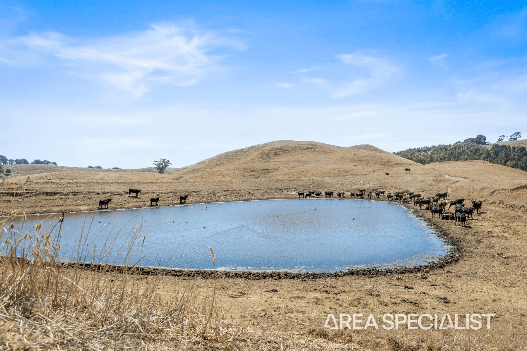 45 Stuart Street, Korumburra, VIC 3950