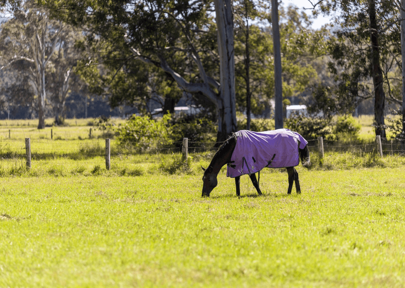 3923 Wallanbah Road, NABIAC, NSW 2312