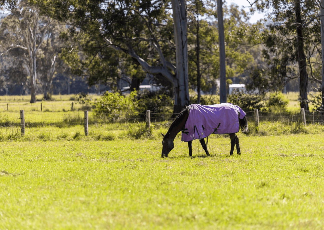 3923 Wallanbah Road, NABIAC, NSW 2312