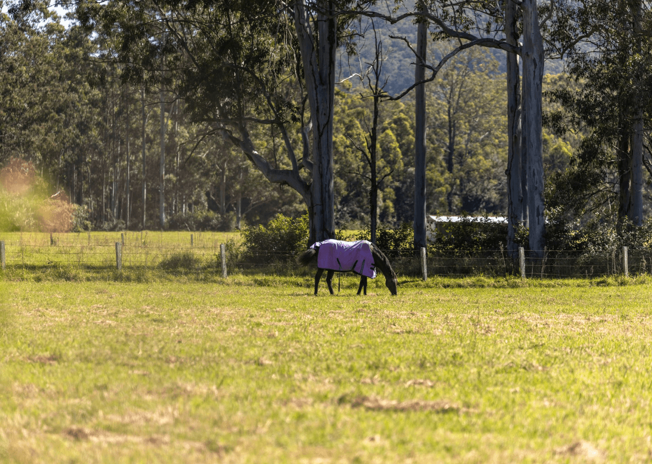 3923 Wallanbah Road, NABIAC, NSW 2312