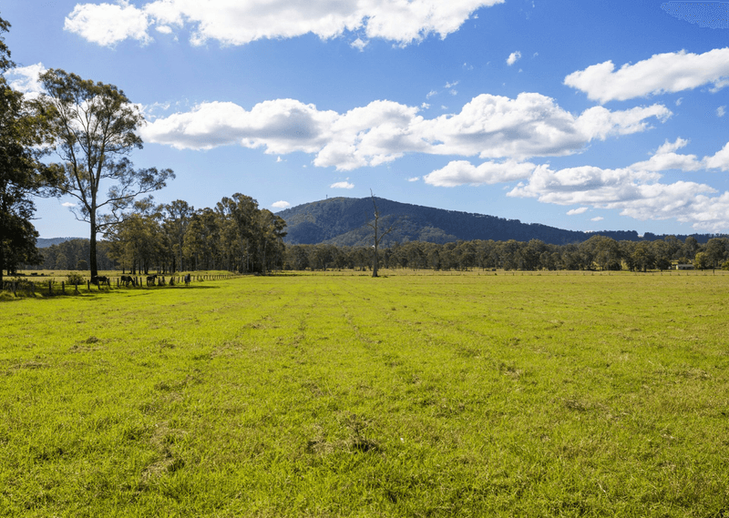 3923 Wallanbah Road, NABIAC, NSW 2312