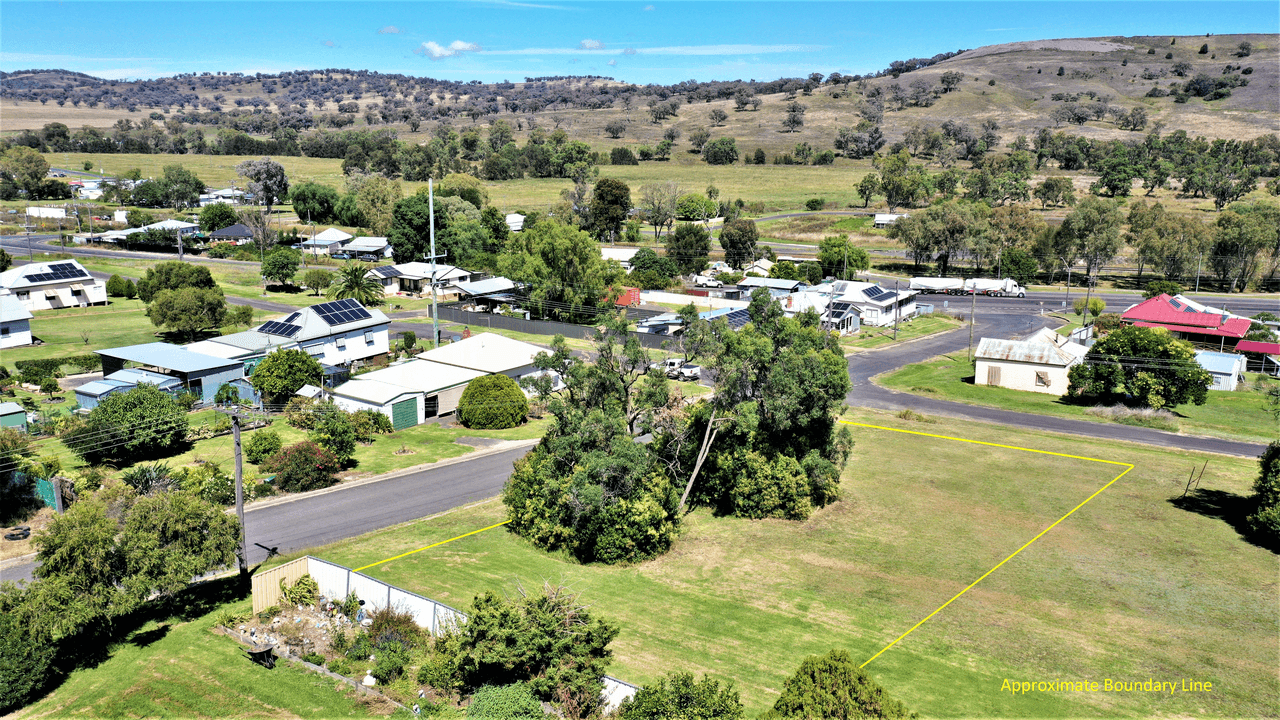 22 Learmonth Street, WILLOW TREE, NSW 2339