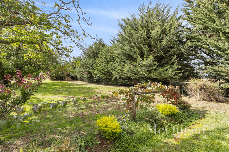 319 Daylesford Malmsbury Road, COOMOORA, VIC 3461