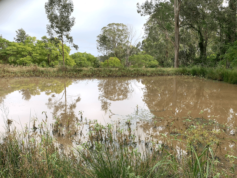 20 Lambert Road, NINDOOINBAH, QLD 4285