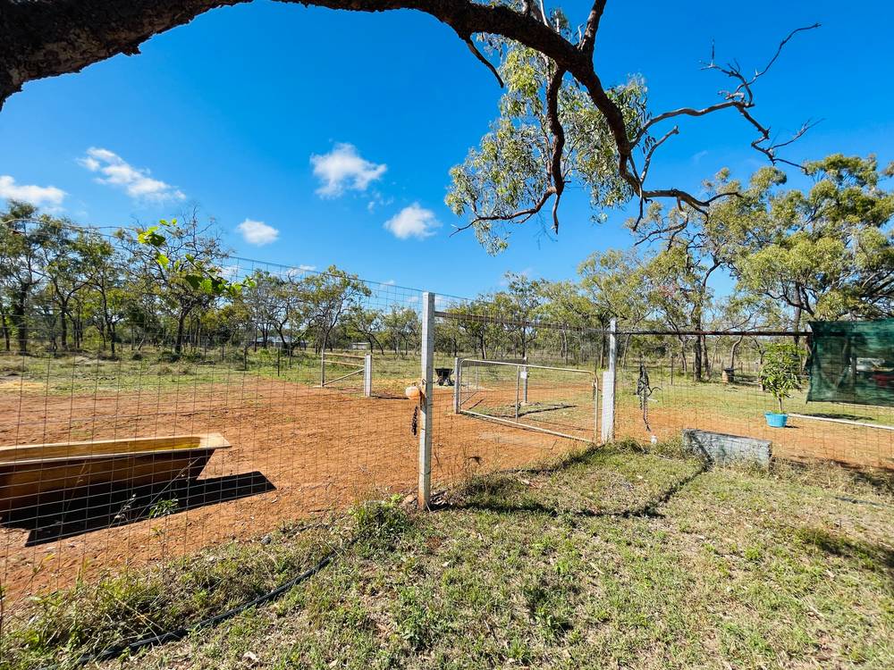 151 Back Creek Road, SOUTHERN CROSS, QLD 4820