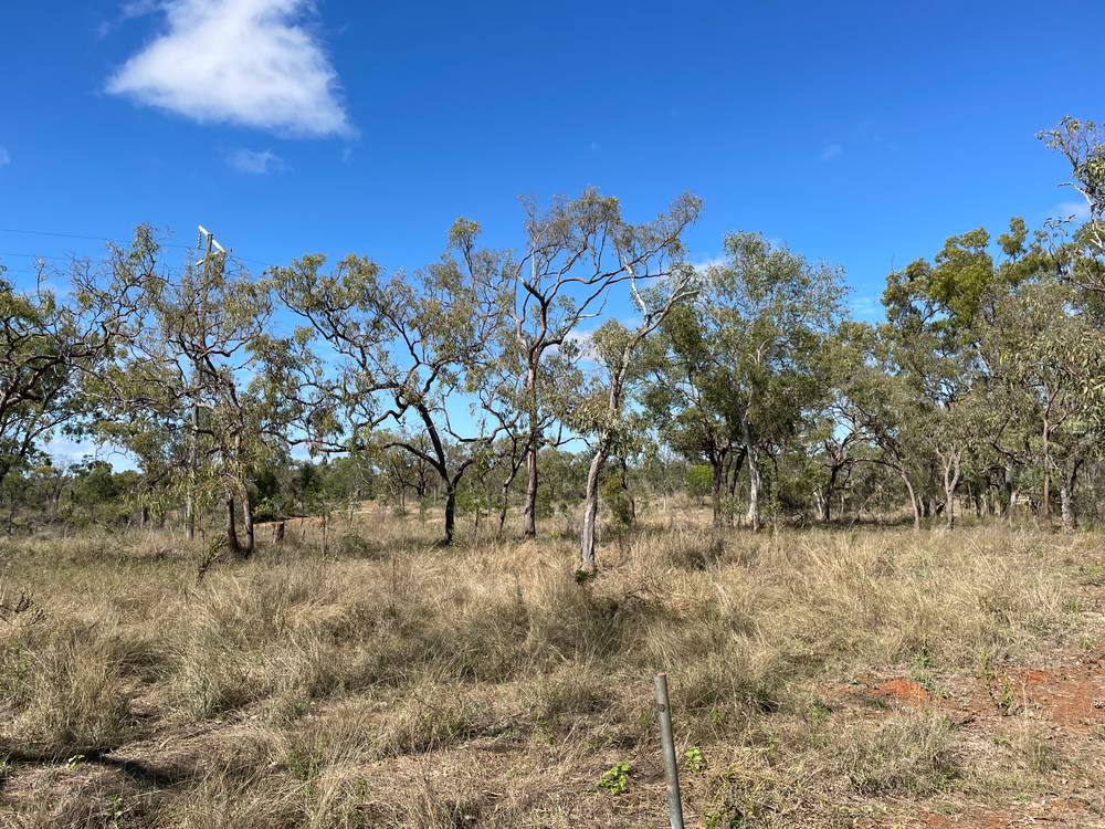 151 Back Creek Road, SOUTHERN CROSS, QLD 4820