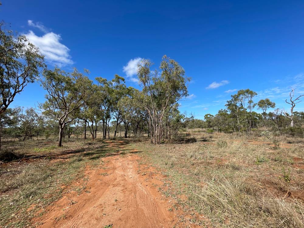 151 Back Creek Road, SOUTHERN CROSS, QLD 4820