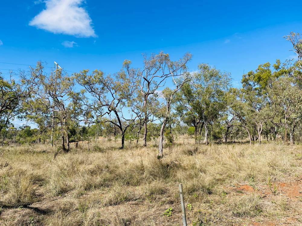 151 Back Creek Road, SOUTHERN CROSS, QLD 4820