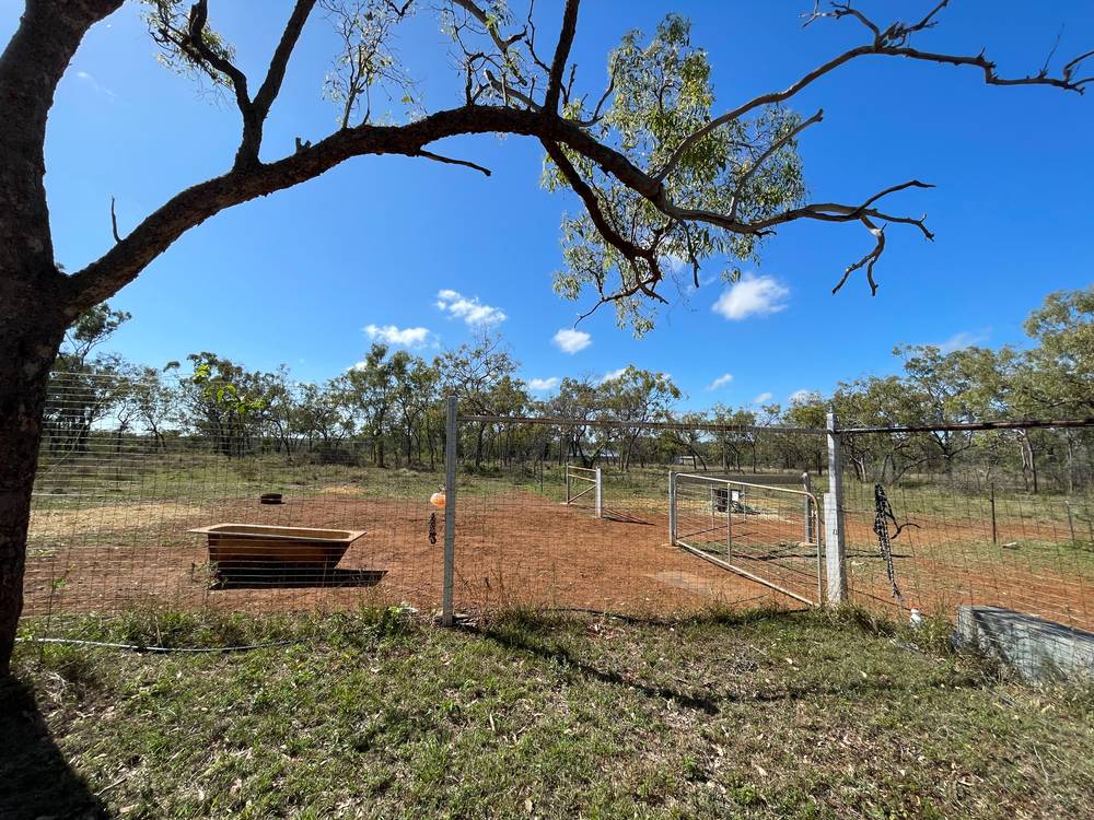 151 Back Creek Road, SOUTHERN CROSS, QLD 4820