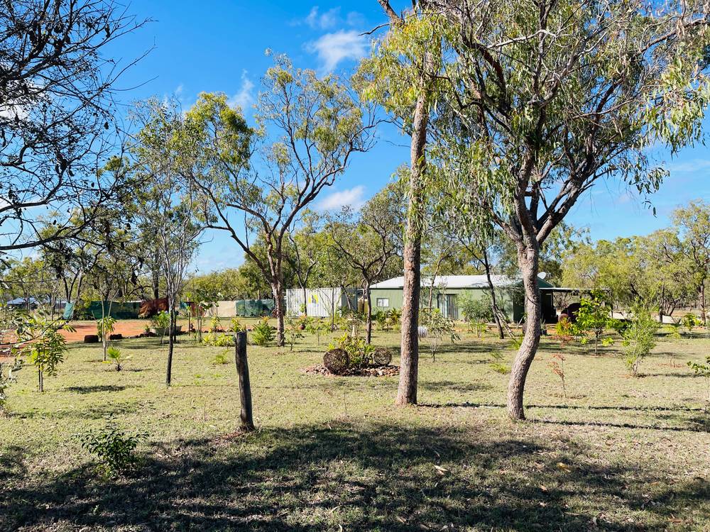 151 Back Creek Road, SOUTHERN CROSS, QLD 4820